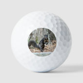 Eichhörnchen Golfball (Vorderseite)