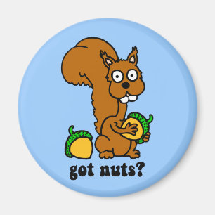 Eichhörnchen got Nüsse Magnet
