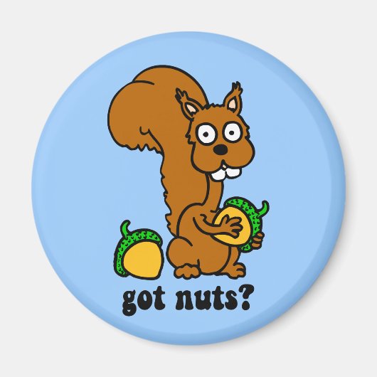 Eichhörnchen got Nüsse Magnet (Vorne)