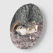 Eichhörnchen Große Wanduhr (Winkel)