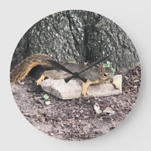 Eichhörnchen Große Wanduhr