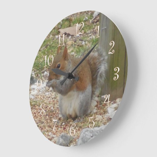 Eichhörnchen Große Wanduhr (Winkel)