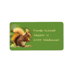 Eichhörnchen - grün adressaufkleber