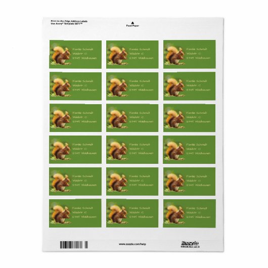 Eichhörnchen - grün | adressaufkleber (Vorne)