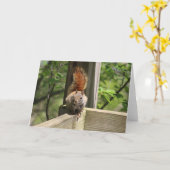 Eichhörnchen-Grußkarte Karte (Gelbe Blume)