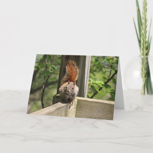 Eichhörnchen-Grußkarte Karte (Vorderseite)