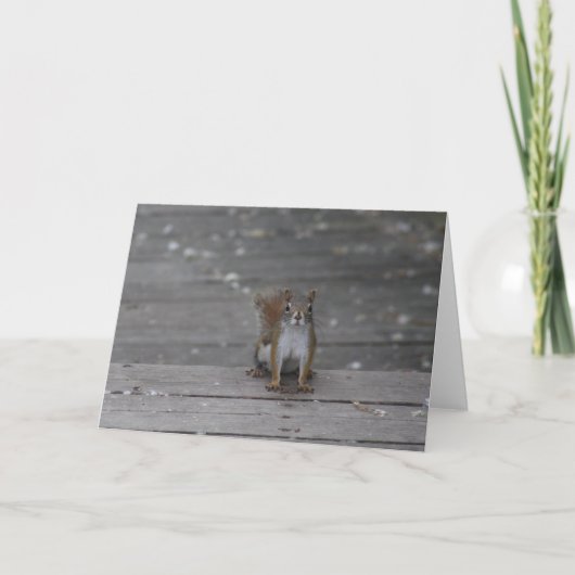 Eichhörnchen-Grußkarte Karte (Vorderseite)