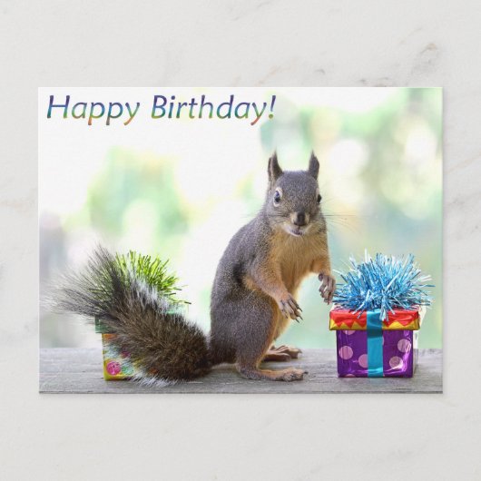 Eichhörnchen Happy Birthday! Postkarte (Vorderseite)