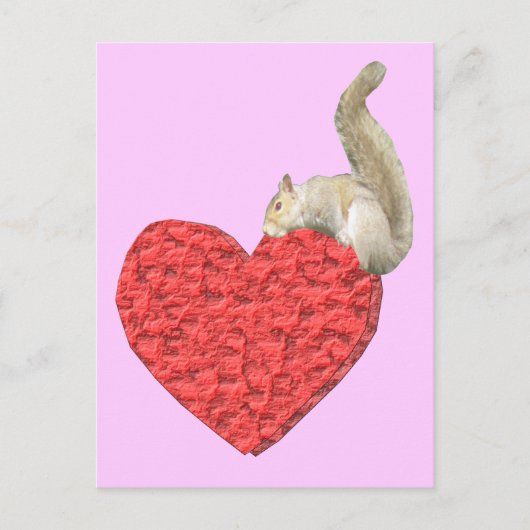 Eichhörnchen Herzrosa Postkarte (Vorderseite)