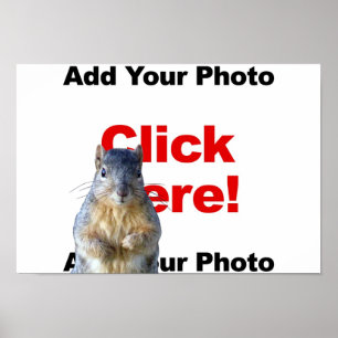 Eichhörnchen hinzufügen Custom Poster