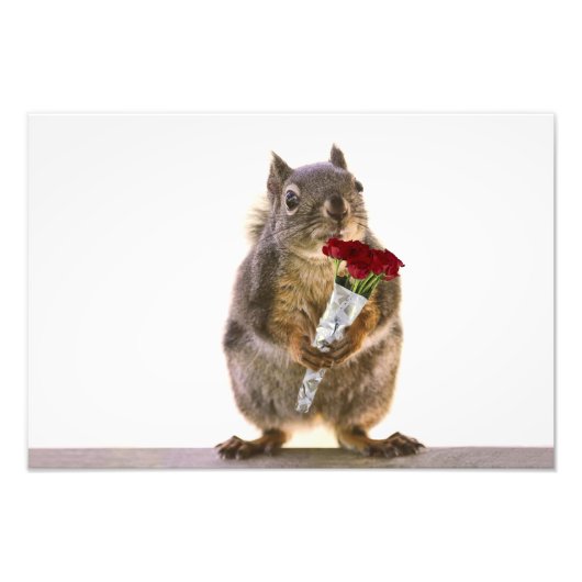 Eichhörnchen Holding Rote Rose Bouquet Fotodruck (Vorne)