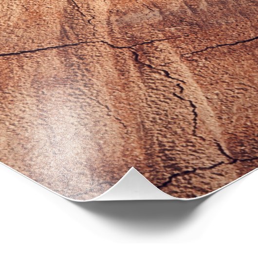 Eichhörnchen — Holz Fotodruck (Ecke)