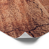 Eichhörnchen — Holz Poster (Ecke)