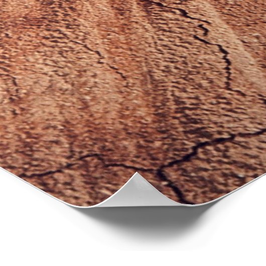 Eichhörnchen — Holz Poster (Ecke)