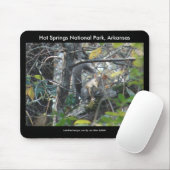 Eichhörnchen Hot Springs Nat'l Park Mt., AR Peak T Mousepad (Mit Mouse)
