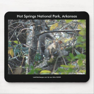 Eichhörnchen Hot Springs Nat'l Park Mt., AR Peak T Mousepad