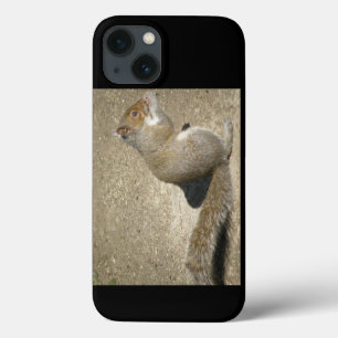Eichhörnchen Hungry Horatio Case-Mate iPhone Hülle