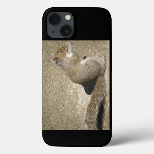 Eichhörnchen Hungry Horatio Case-Mate iPhone Hülle (Rückseite)