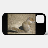 Eichhörnchen Hungry Horatio Case-Mate iPhone Hülle (Rückseite (Horizontal))