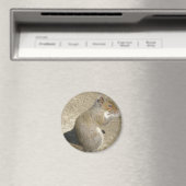 Eichhörnchen Hungry Horatio Magnet (In Situ (Geschirrspüler))