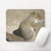 Eichhörnchen Hungry Horatio Mousepad (Mit Mouse)