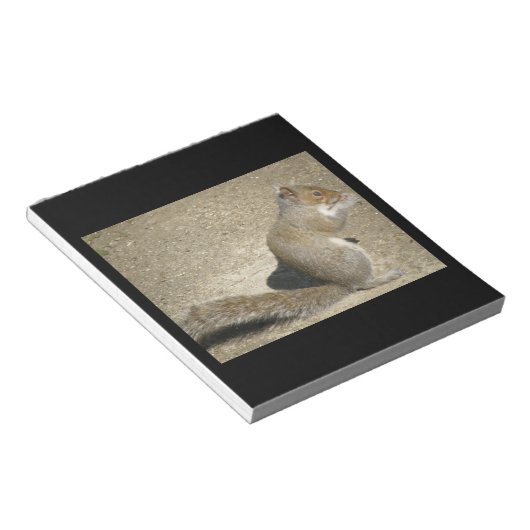 Eichhörnchen Hungry Horatio Notepad Notizblock (angewinkelt)