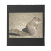 Eichhörnchen Hungry Horatio Notepad Notizblock (Vorderseite)