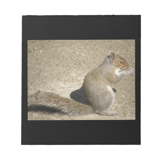 Eichhörnchen Hungry Horatio Notepad Notizblock (Vorderseite)