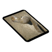 Eichhörnchen Hungry Horatio Premium Magnet (Rechte Seite)