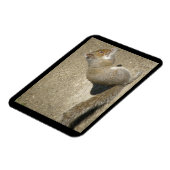 Eichhörnchen Hungry Horatio Premium Magnet (Linke Seite)