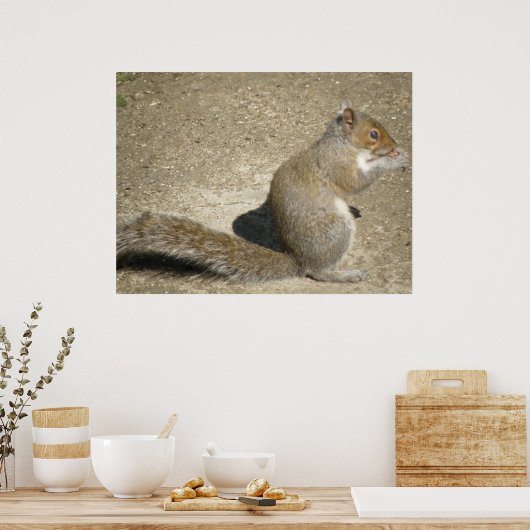 Eichhörnchen Hungry Horatio Print Poster (Küche)