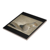 Eichhörnchen Hungry Horatio Tile Fliese (Seite)