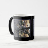 Eichhörnchen im Baum Magic Morphing Becher Verwandlungstasse (Vorderseite Links)