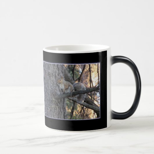 Eichhörnchen im Baum Magic Morphing Becher Verwandlungstasse (Rechts)