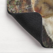 Eichhörnchen im Baum Mousepad (Ecke)