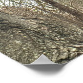 Eichhörnchen im Baum Plakat (Ecke)