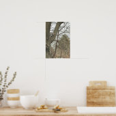 Eichhörnchen im Baum Plakat (Küche)