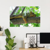 Eichhörnchen im Baum ruhen Poster (Heimbüro)