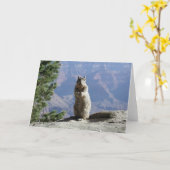 Eichhörnchen im Grand Canyon Karte (Gelbe Blume)