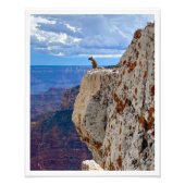 Eichhörnchen im Grand Canyon National Park North R Fotodruck (Vorne)