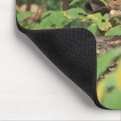 Eichhörnchen im Herbst Mousepad (Ecke)