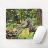 Eichhörnchen im Herbst Mousepad (Mit Mouse)