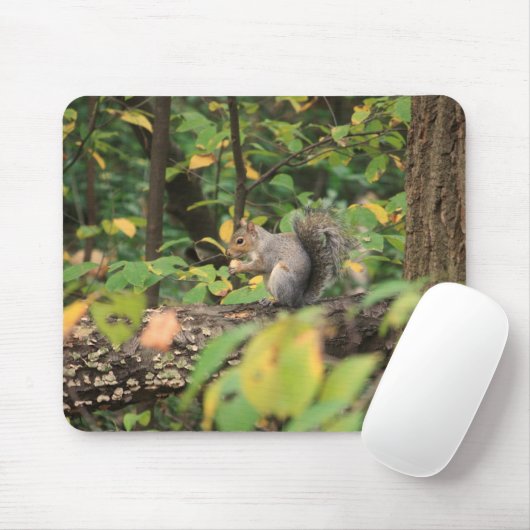 Eichhörnchen im Herbst Mousepad (Mit Mouse)