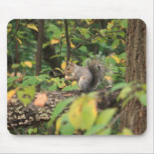 Eichhörnchen im Herbst Mousepad (Vorne)