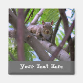 Eichhörnchen im Kühlschrankmagnet Tree (Vorne)