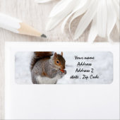 Eichhörnchen im Schnee (Insitu)