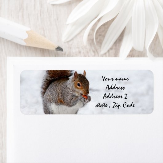 Eichhörnchen im Schnee (Insitu)