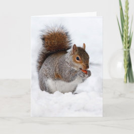 Eichhörnchen im Schnee Karte