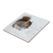 Eichhörnchen im Schnee mit Berry Fliese (Seite)