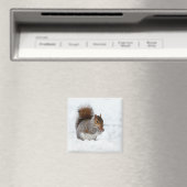 Eichhörnchen im Schnee mit Berry Magnet (In Situ (Geschirrspüler))